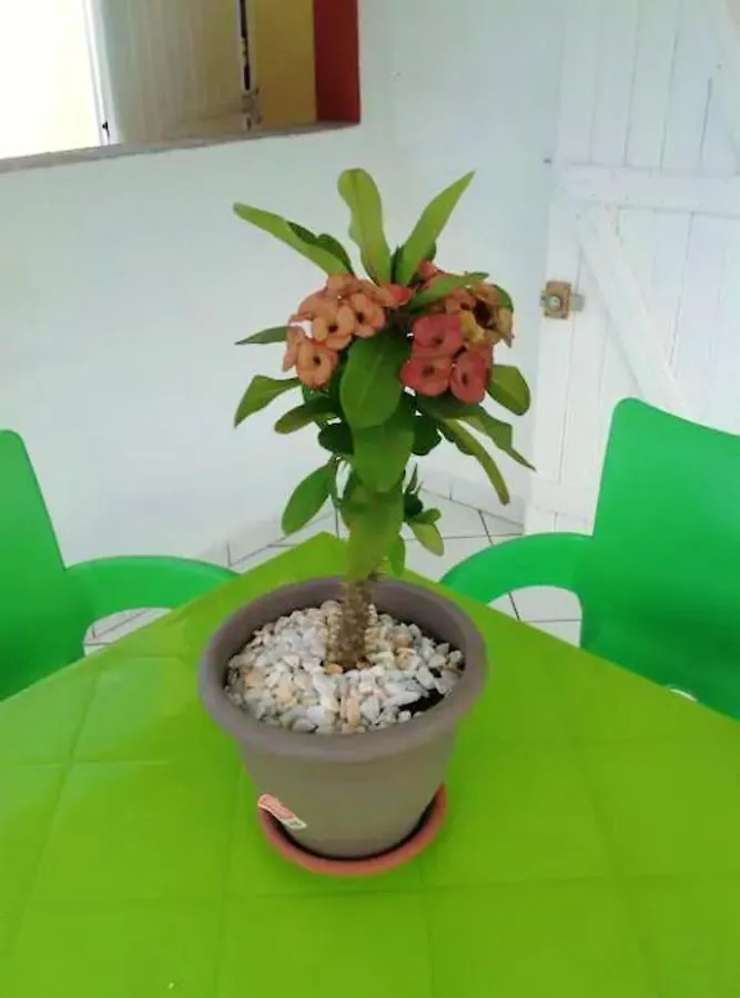 Appartement Moderne Le Moule